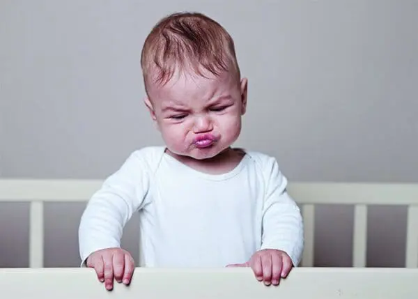  - 2800-774-01383_lgjpg