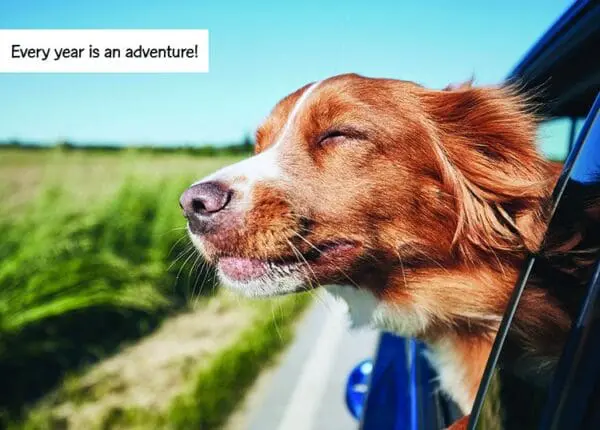  - 2800-774-01416_lgjpg