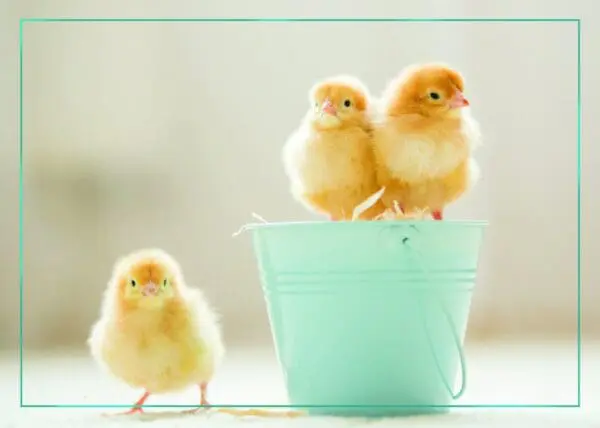  - 2800-774-01437_lgjpg