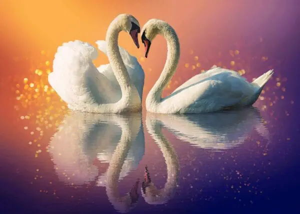  - 2800-774-01500_lgjpg