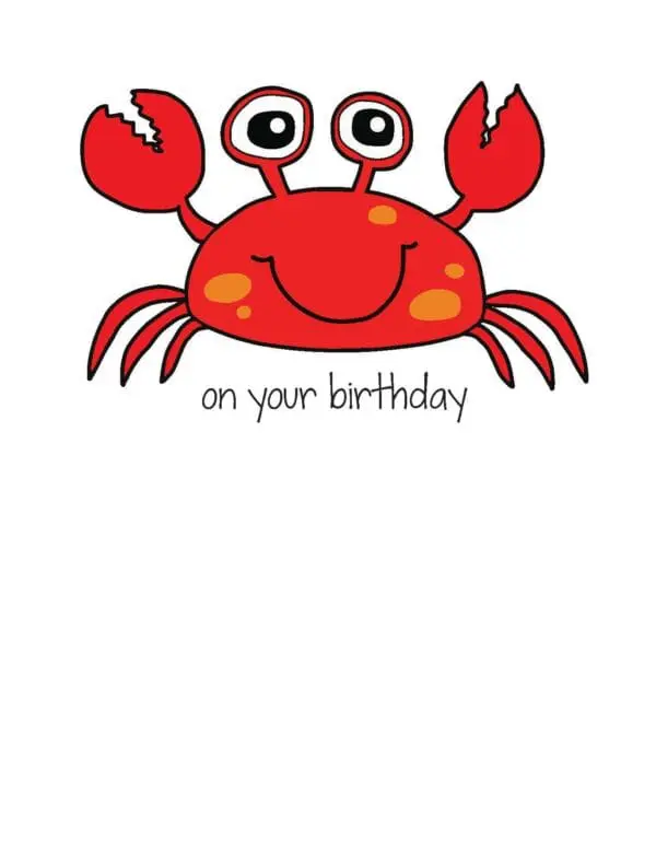  - 430-CD8018BD_lgjpg