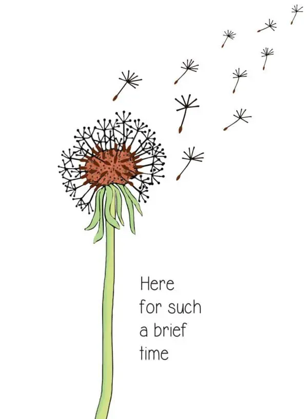  - 430-CD8587SY_lgjpg