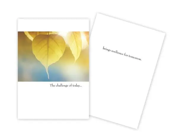  - 430-GC-1517-EN_lgjpg