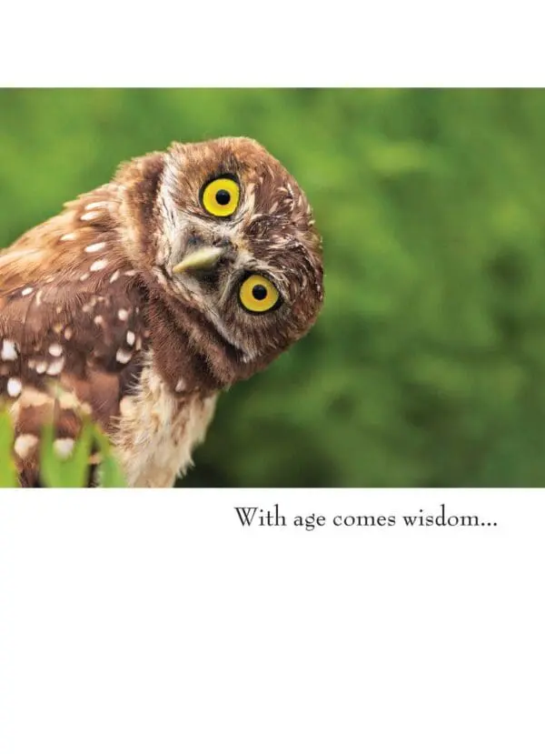  - 430-GC-2030-BD_lg-1jpg