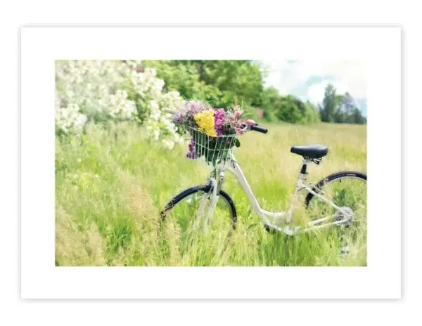  - 430-GC-2640-BL_lgjpg