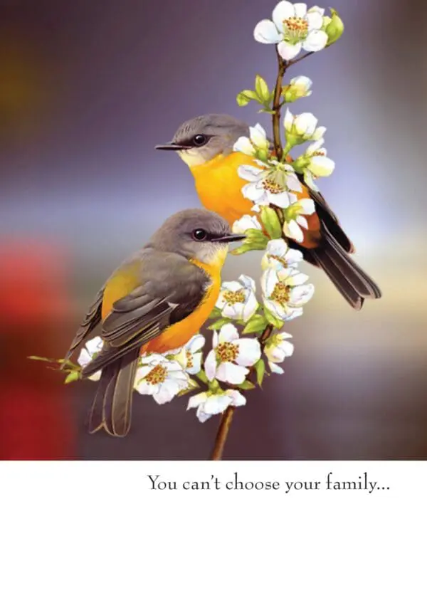  - 430-GC1168BD_lg-1jpg