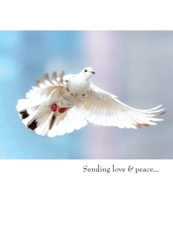  - 430-GC1610SY_lgjpg