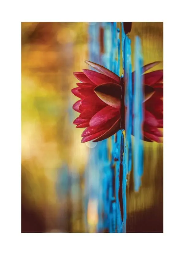  - 430-GC1646BL_lg-1jpg