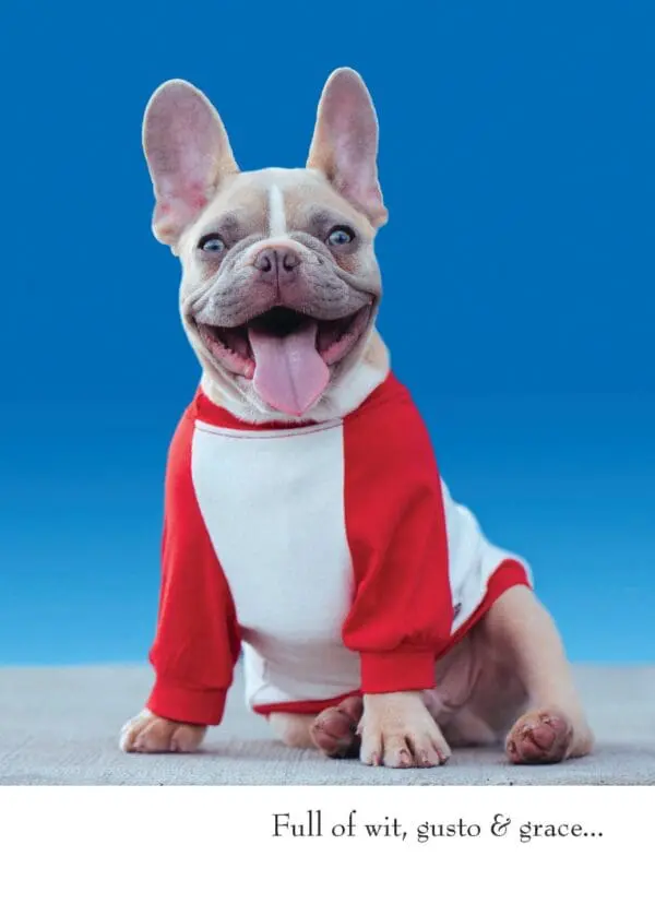  - 430-GC2009BD_lgjpg