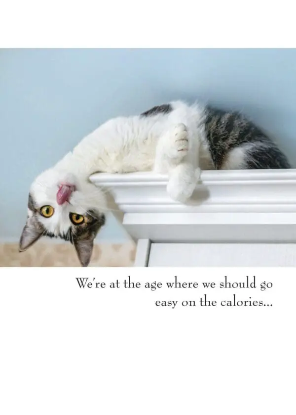  - 430-GC2010BD_lgjpg