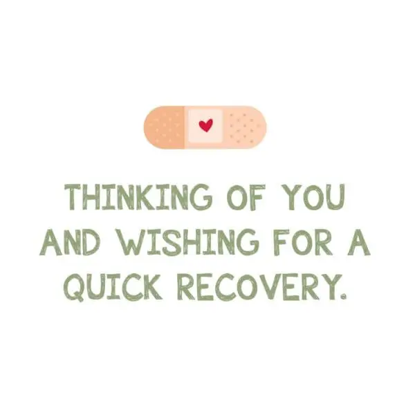  - 4334-GGDF690_1_lgjpg