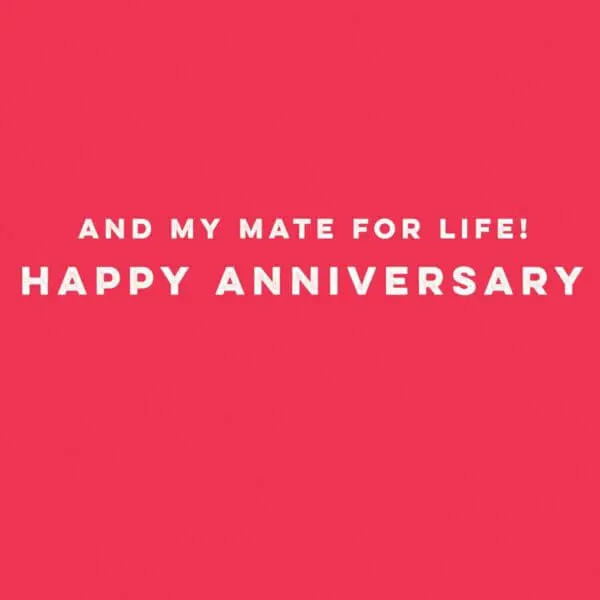  - 4334-GGDF701_1_lgjpg