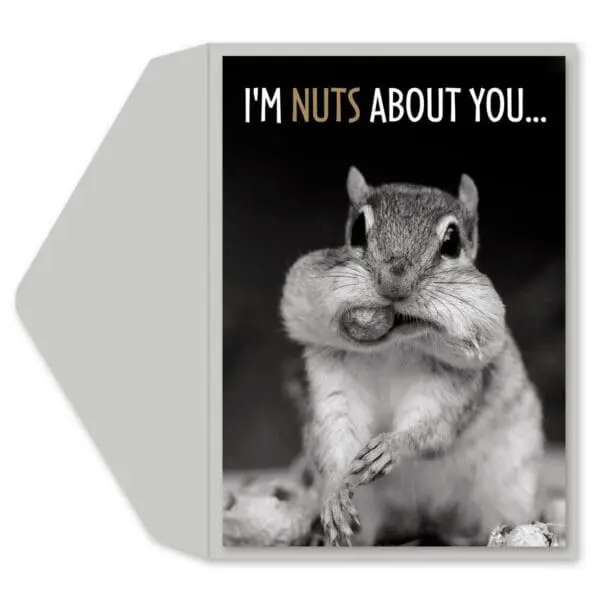  - 4334-GGDF728_lgjpg