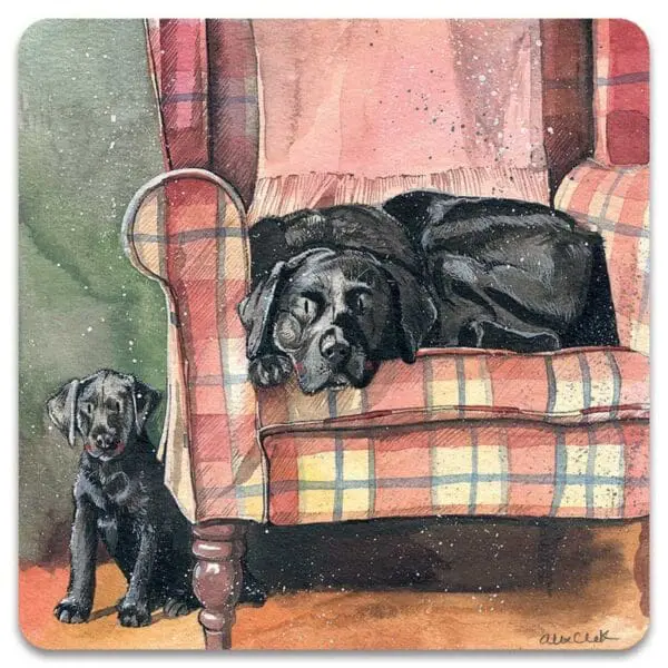  - 5199-FM247_lg-1jpg