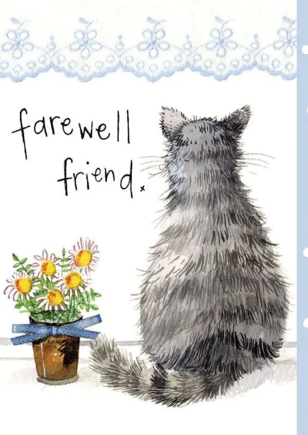  - 5199-USCD67_lg-2jpg