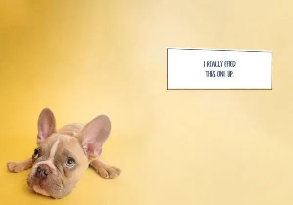  - 564-IOPE0028C_1_lg-1jpg