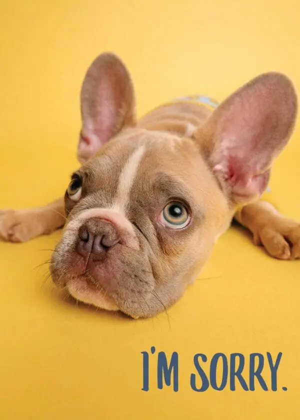  - 564-IOPE0028C_lg-1jpg