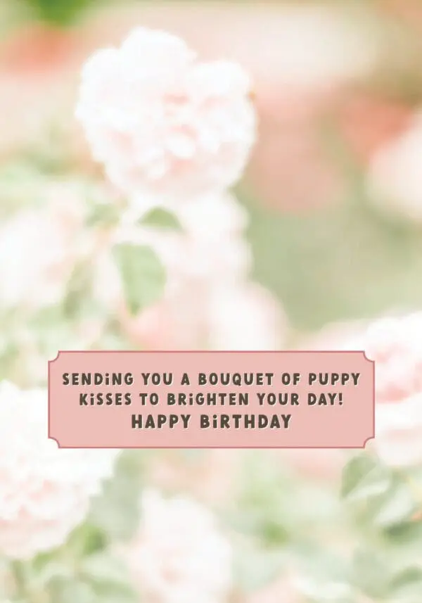  - 564-IOPE0145C_1_lg-1jpg