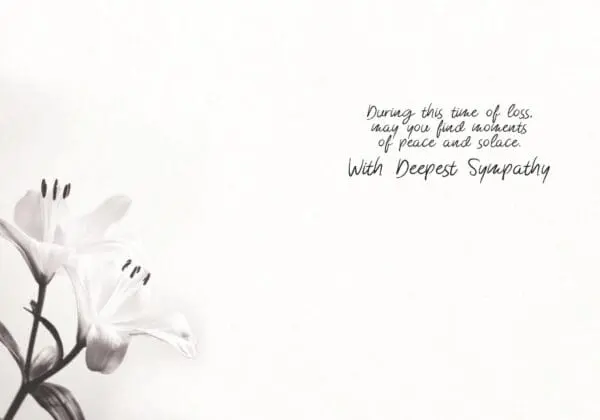  - 564-IOPE0157L_1_lgjpg