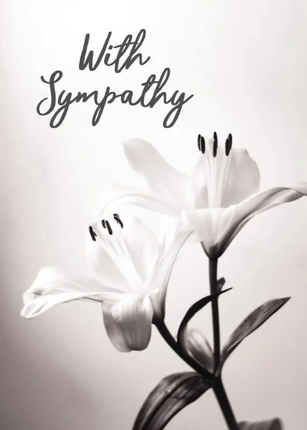  - 564-IOPE0157L_lgjpg