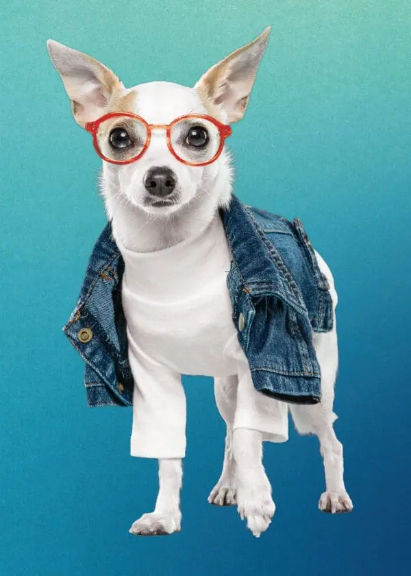  - 564-IOPE0168C_lgjpg