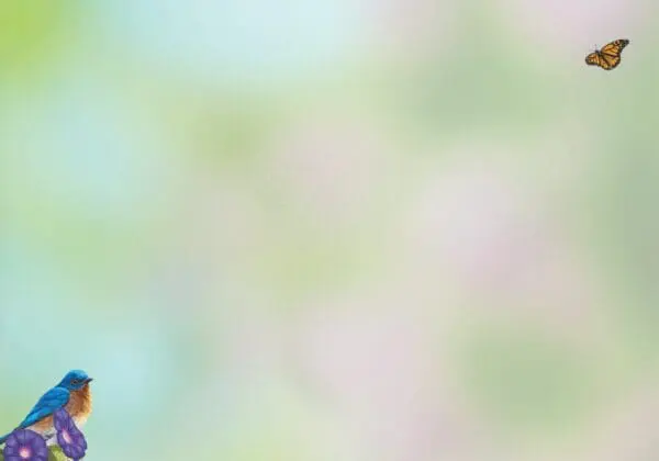 - 564-IOPE0181L_1_lgjpg