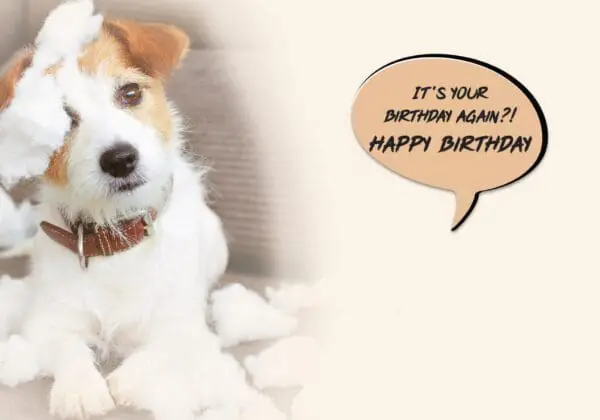  - 564-IOPE0187C_1_lgjpg