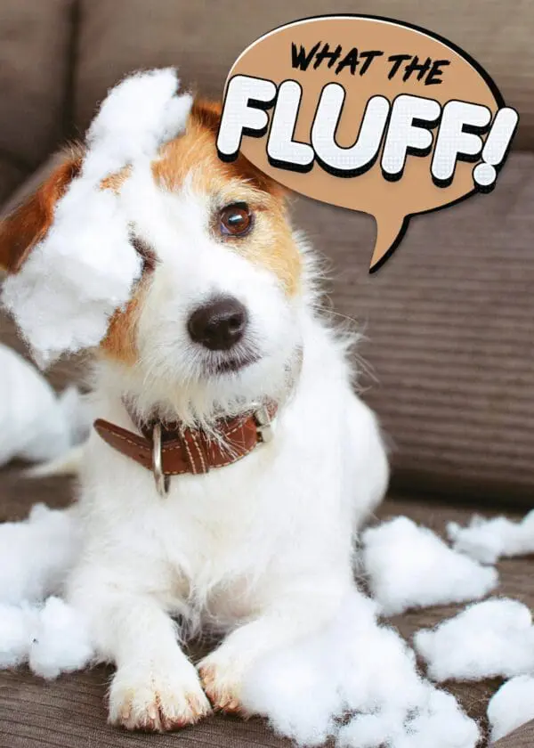  - 564-IOPE0187C_lgjpg