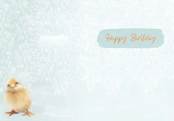  - 564-IOPE0196C_1_lgjpg