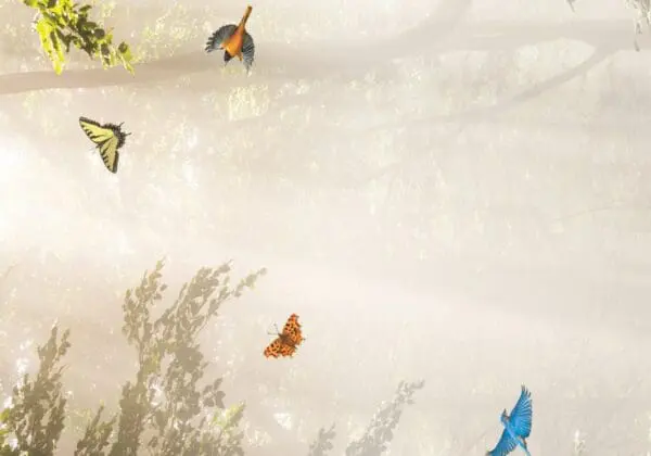  - 564-IOPE0202C_1_lgjpg