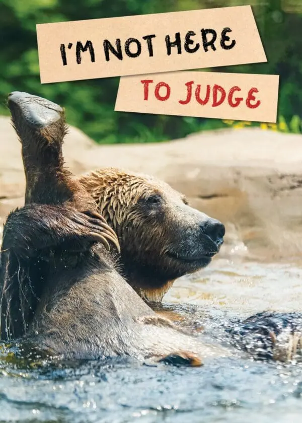  - 564-IOPE0236C_lg-1jpg