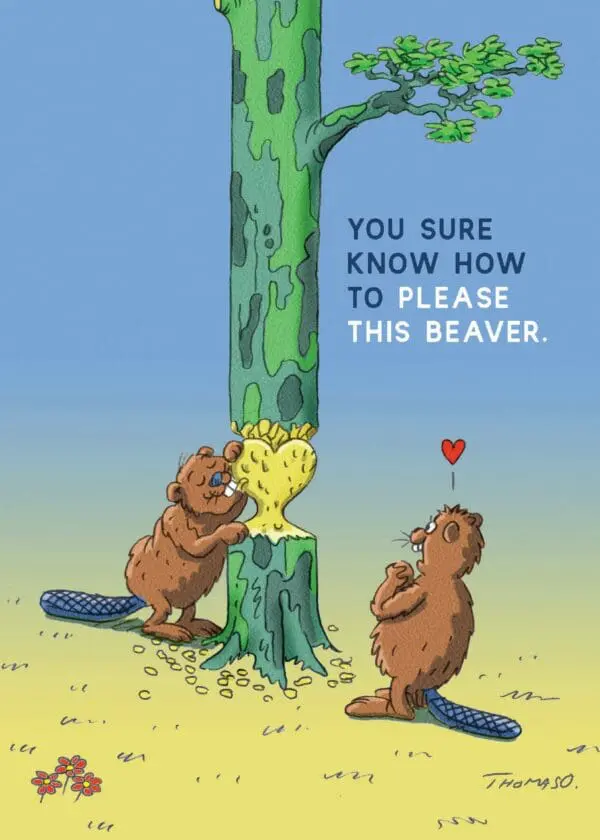  - 564-IOPE0260C_lgjpg