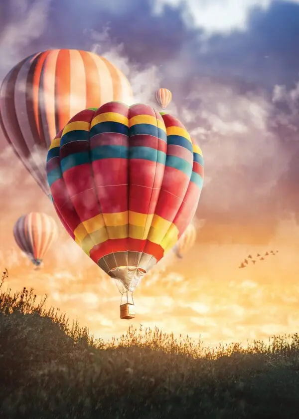  - 564-IOPE0262C_lgjpg