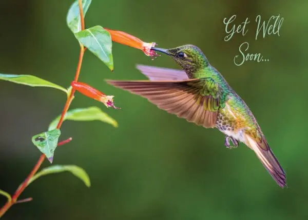  - 564-IOPE0304C_lg-1jpg