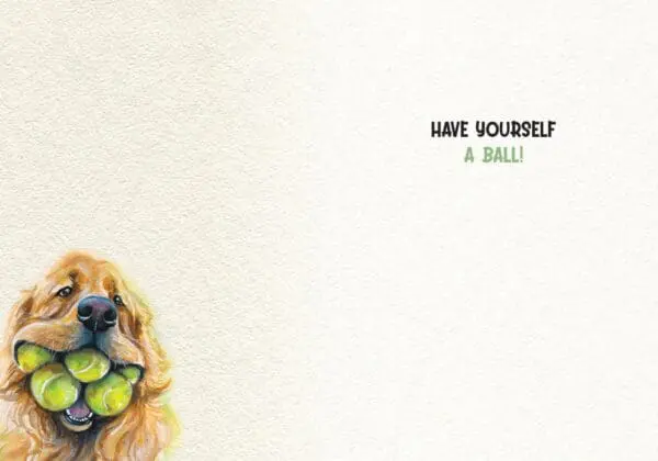  - 564-IOPE0309L_1_lgjpg