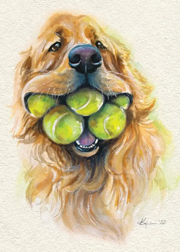  - 564-IOPE0309L_lgjpg