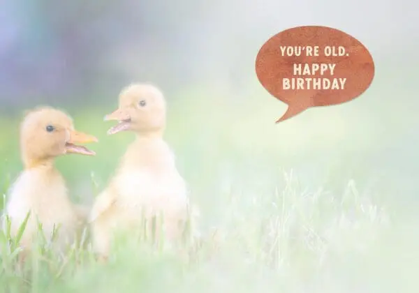  - 564-IOPE0481C_1_lgjpg