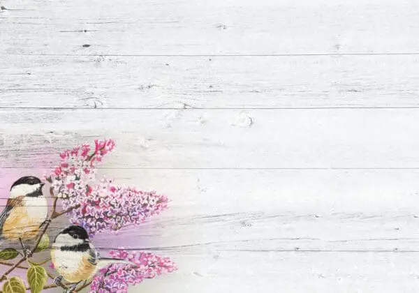  - 564-IOPE0499S_1_lgjpg