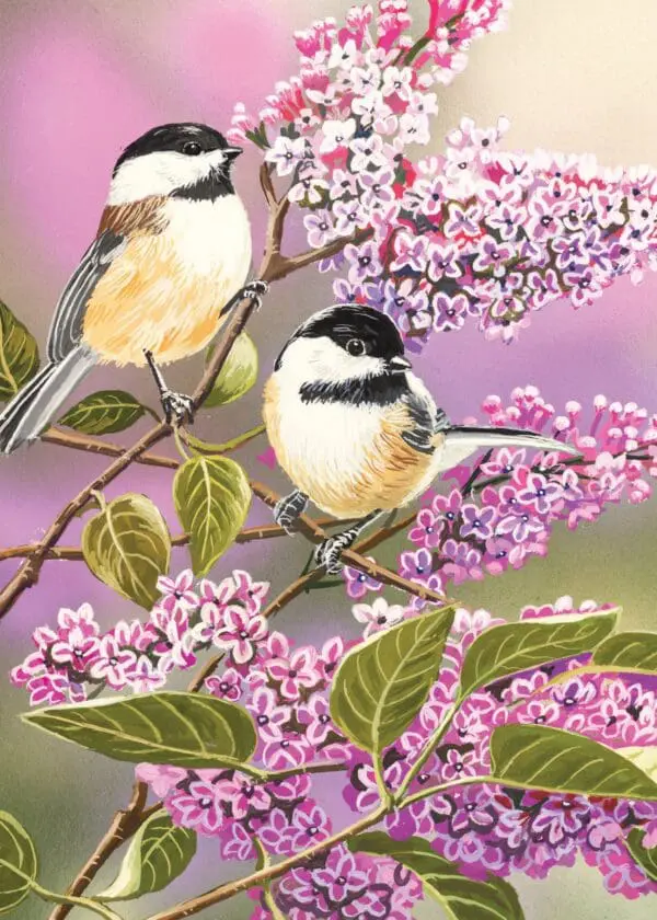  - 564-IOPE0499S_lgjpg