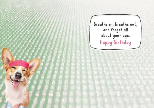  - 564-IOPE0662C_1_lgjpg