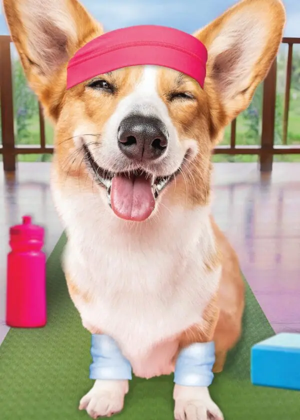  - 564-IOPE0662C_lgjpg