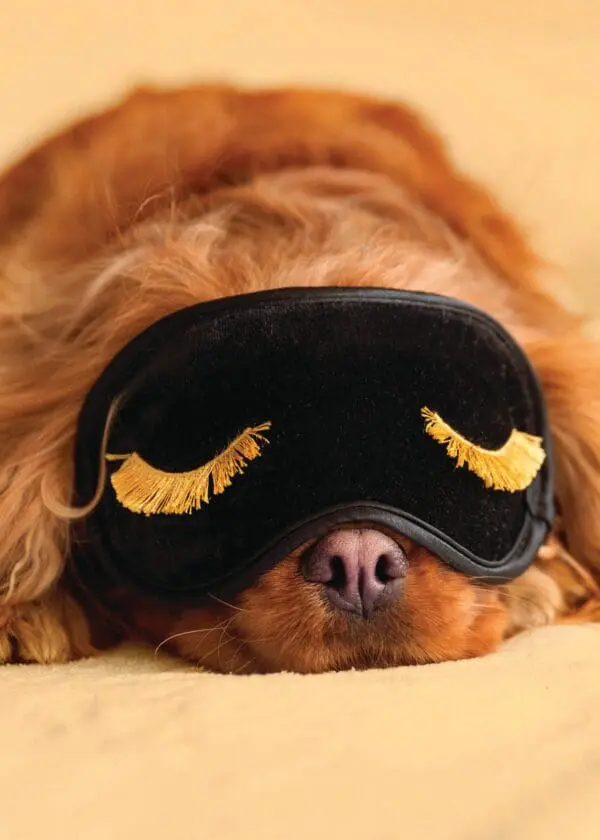  - 564-IOPE0664C_lgjpg