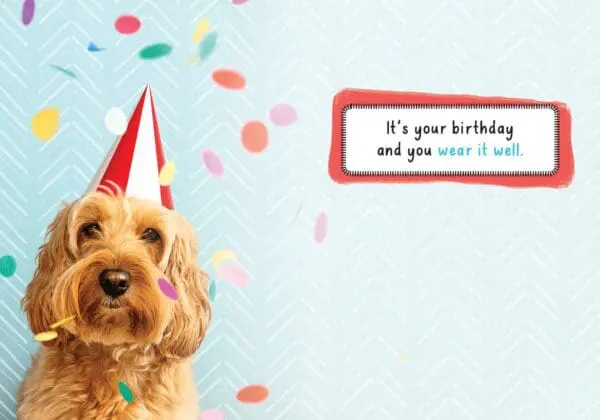  - 564-IOPE0667C_1_lg-1jpg