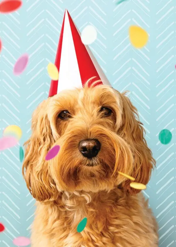  - 564-IOPE0667C_lg-1jpg