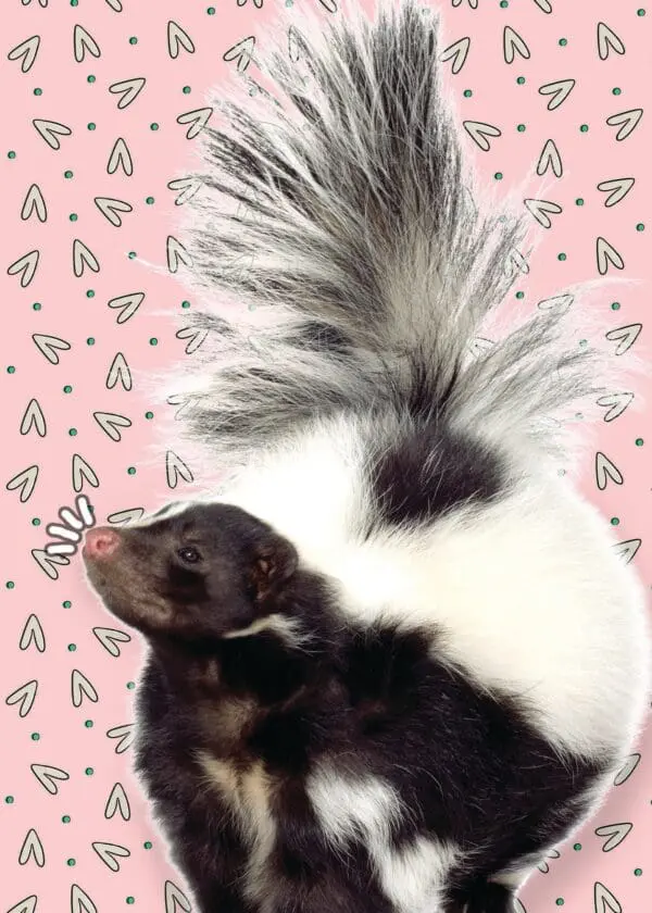  - 564-IOPE0671C_lgjpg