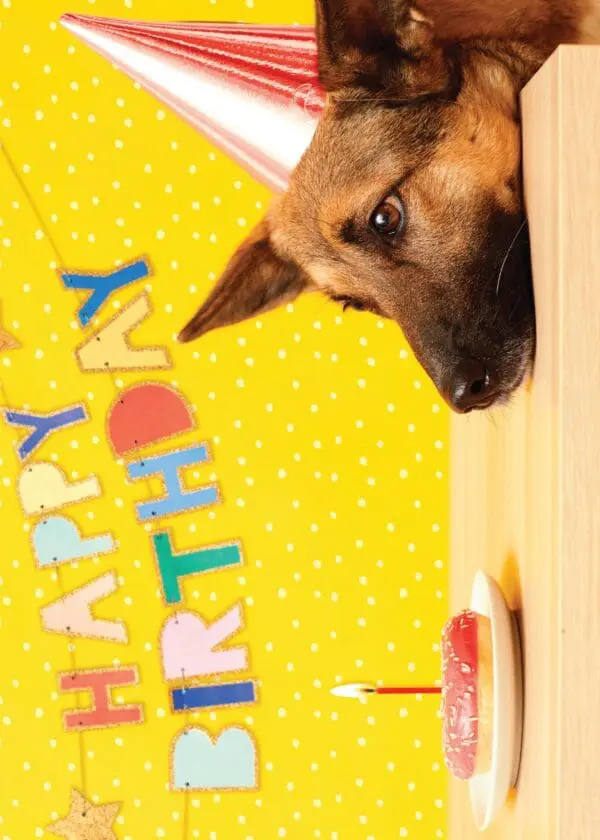  - 564-IOPE0680C_lgjpg