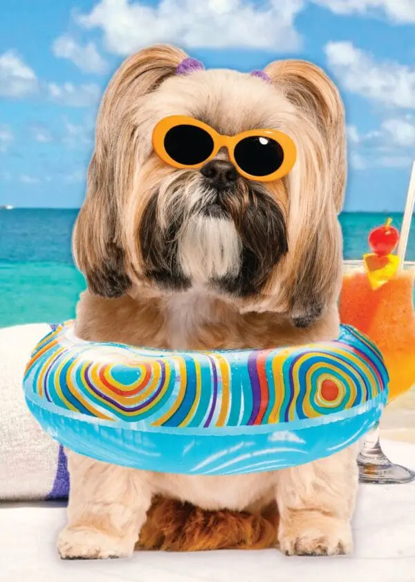  - 564-IOPE0686C_lgjpg