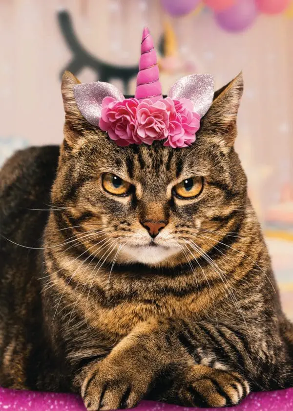  - 564-IOPE0687C_lgjpg