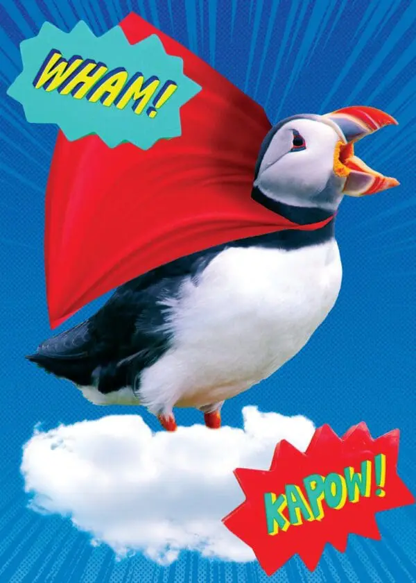  - 564-IOPE0696C_lgjpg