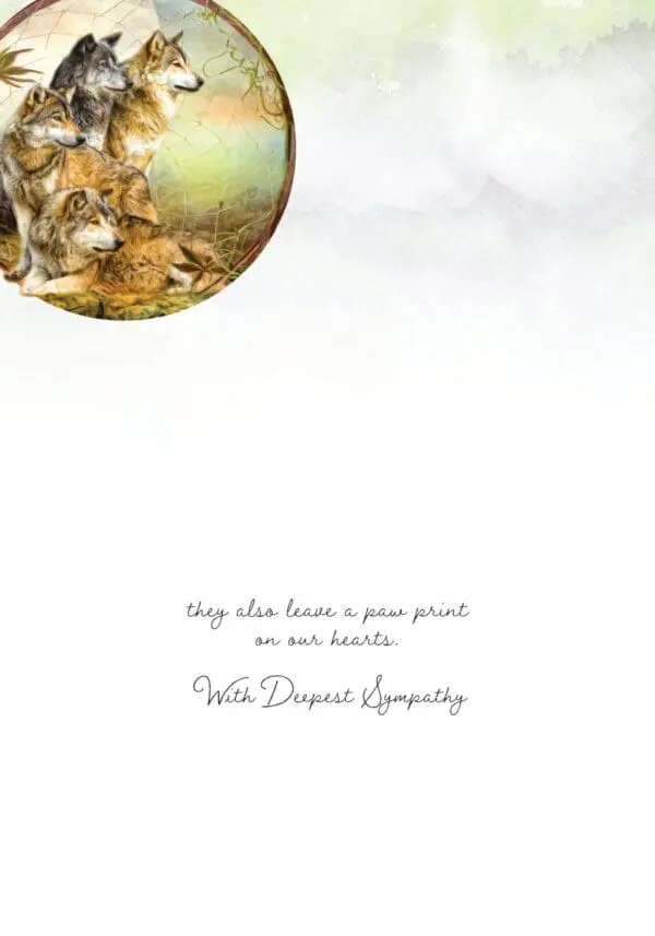  - 564-IOPI0613L_1_lgjpg